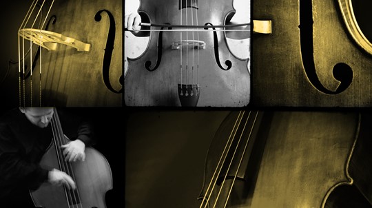 Double Bass Technical Studies Bundle) Double Bass Technical Studies Bundle
