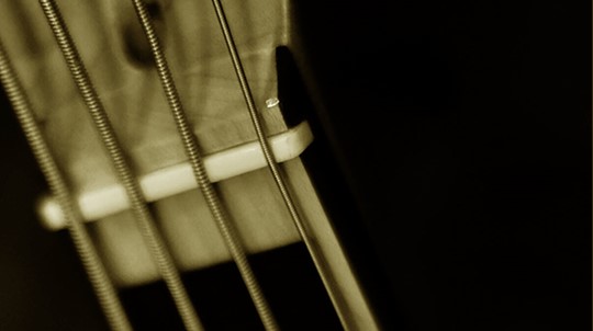 Free Bassguitar Course For Beginners) Free Bassguitar Course For Beginners